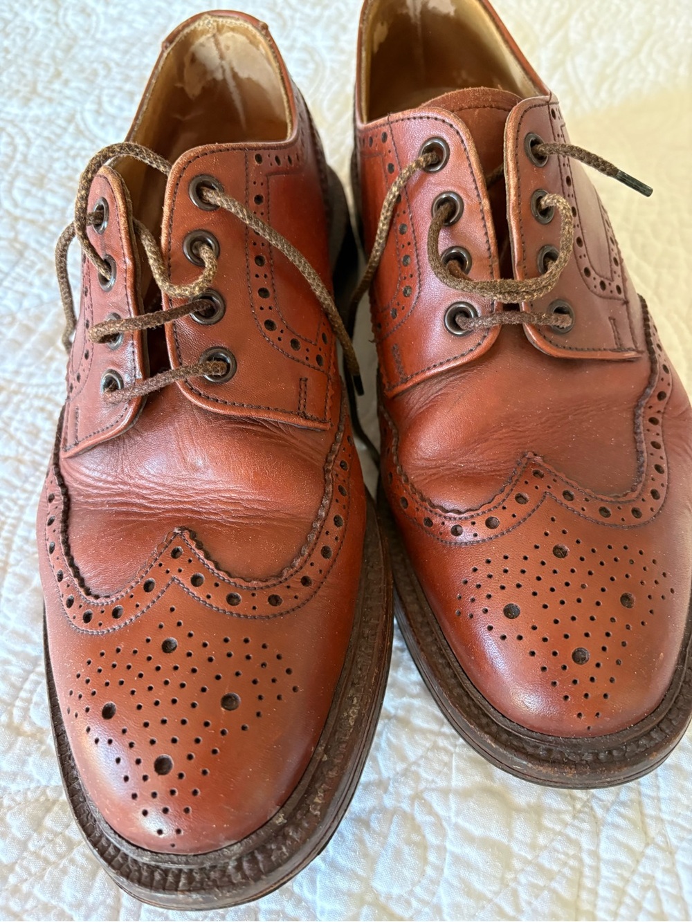 Loake Men's Brogue Derby in Chestnut Brown 8.5 UK
